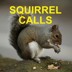 Descargar APK de Squirrel Hunting Calls