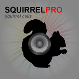 Squirrel Call-Squirrel Hunting icône