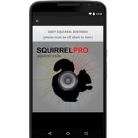 Squirrel Call-Squirrel Hunting Affiche