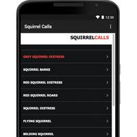 Squirrel Call-Squirrel Hunting imagem de tela 2
