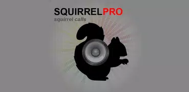 Squirrel Calls for Hunting