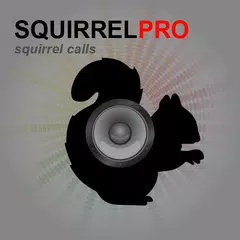 Squirrel Calls for Hunting