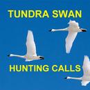 Tundra Swan Hunting Calls APK