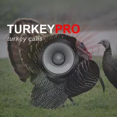 Descargar APK de Turkey Calls - Turkey Sounds
