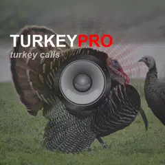 Turkey Calls - Turkey Sounds APK 下載