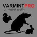 Varmint Calls for Hunting UK APK