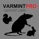 Varmint Calls for Hunting APK