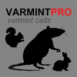 Varmint Calls for Hunting