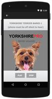 Yorkshire Terrier Dog Sounds स्क्रीनशॉट 1