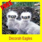 Decorah Eagles icon