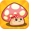 Mushroom House Design