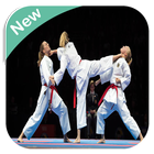 Karate WKF icône