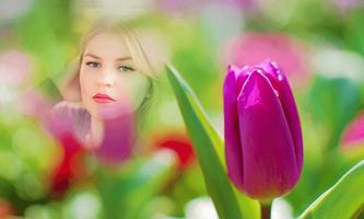 Purple Tulips Photo Frames 截圖 1