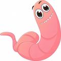 Wacky Worm