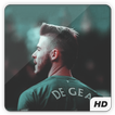 🔥 DE GEA wallpapers 2018  4K FULL HD  🇺🇸