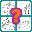American Sign Language App And