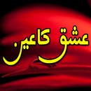 Ain Ishq (عشق کا عین) Novel APK