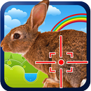 Snow Rabbit Hunter APK