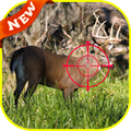 ”Deer Hunter Jungle 2016