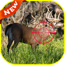 APK Deer Hunter Jungle 2016