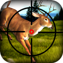 3d Deer Hunting Shooting aplikacja