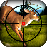 3d Deer Hunting Shooting icône