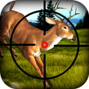 3d Deer Hunting Shooting APK