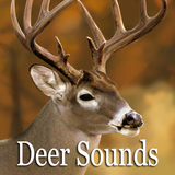 Deer Sounds icon