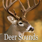 Deer Sounds icône