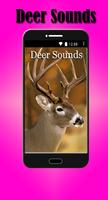 Deer Sounds Affiche