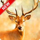 آیکون‌ Deer Wallpaper