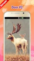 برنامه‌نما Deer Wallpaper عکس از صفحه