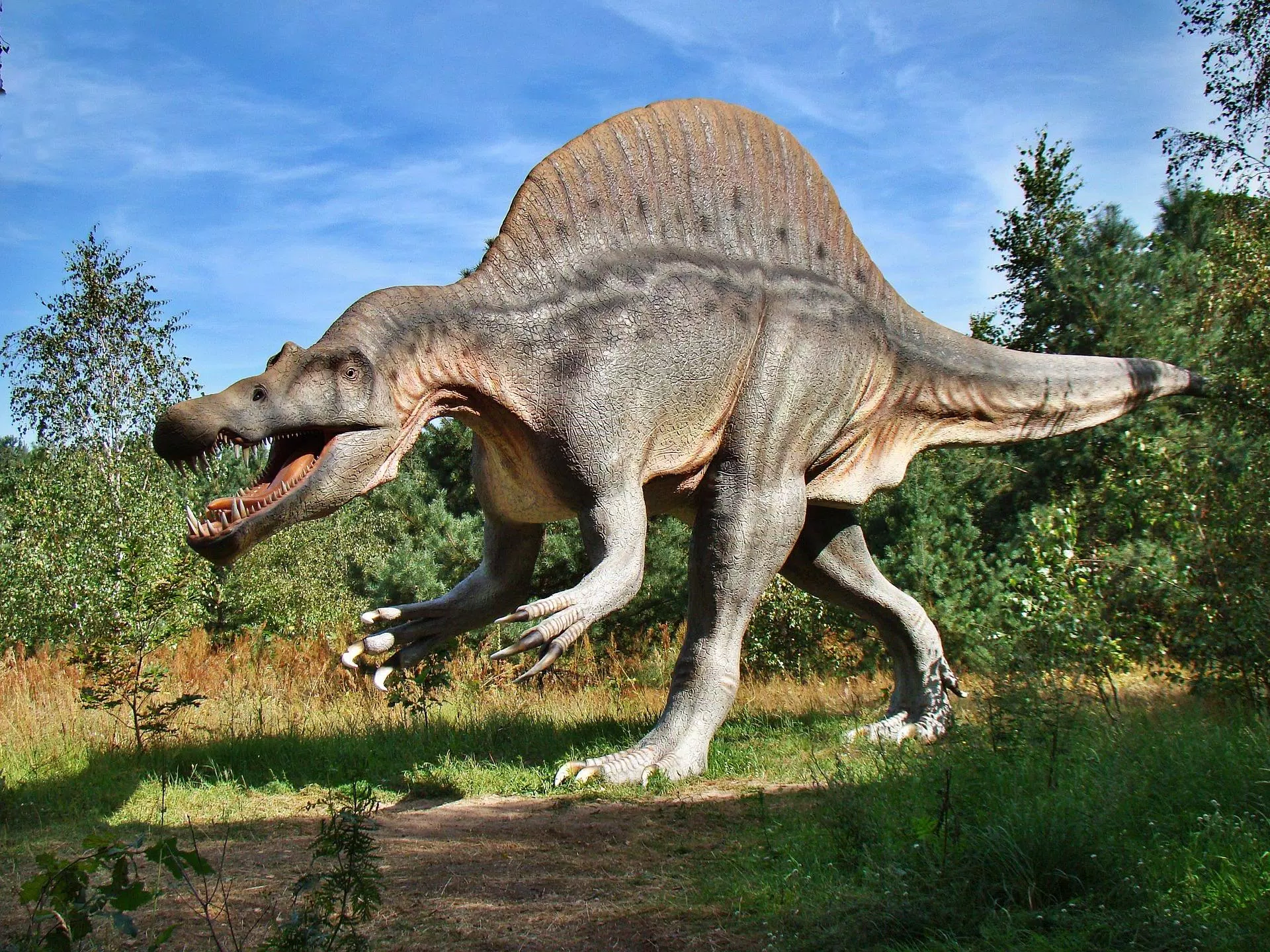 Dino T-Rex 3D Run APK para Android - Download
