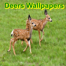 Deers Wallpapers APK