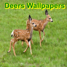 Deers Wallpapers icône