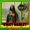 Ziggy Marley - Songs