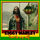 Ziggy Marley - Songs APK
