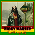 Ziggy Marley - Songs icône