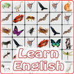 Onet Wildlife