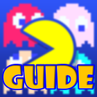 ikon Guide Pac-Man 256