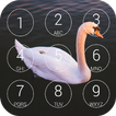 Swans Lock Screen