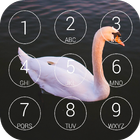 Swans Lock Screen ikon