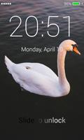 Swans Lock Screen Affiche