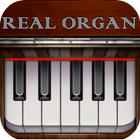 Real Organ Piano icône
