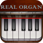 Real Organ Piano-icoon