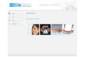 Dental Anatomy स्क्रीनशॉट 1