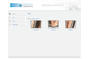 Dental Anatomy imagem de tela 2