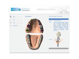 Dental Anatomy syot layar 3