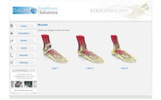 Foot Anatomy capture d'écran 3