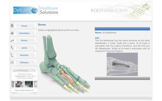 Foot Anatomy Affiche